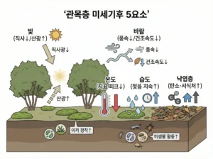 관목층 미세기후 5요소 - shrub-microclimate-5factors